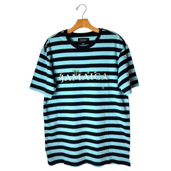 Pacsun Shirt Men Medium‎ Blue Cotton Striped Embroidered Short Sleeve Tee NWT - Picture 1 of 9